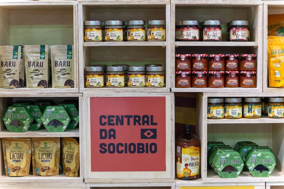 Programa estimula geração de renda na sociobioeconomia por meio de compras sustentáveis.