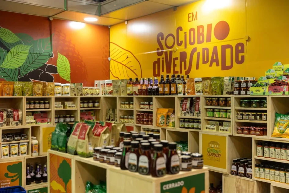 Programa estimula geração de renda na sociobioeconomia por meio de compras sustentáveis.