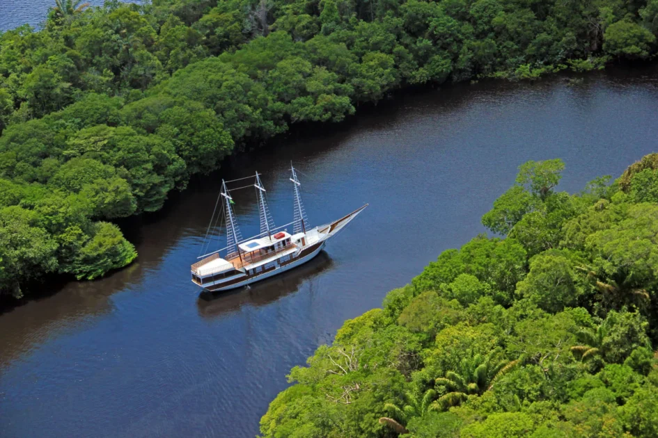 38980231550 22248d0d2d o.jpg