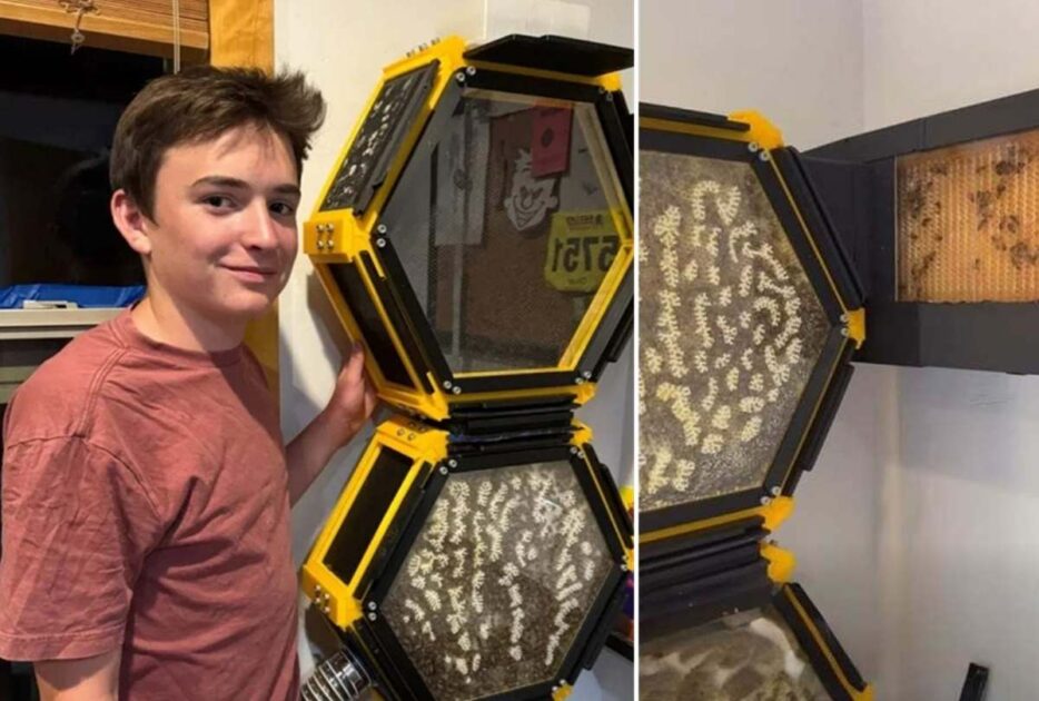Foto do jovem Oliver Taylor, 13 anos, ao lado da colmeia criada por ele em impressão 3D. Na foto, o adolescente usa uma camiseta vermelho claro e a colmeia permite ver as abelhas por fora. 