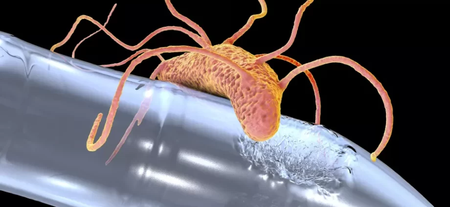 Bacteria 920x425 1