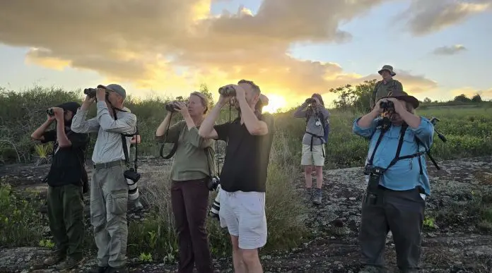 Britânicos é publico alvo da Embratur para birdwatching. 