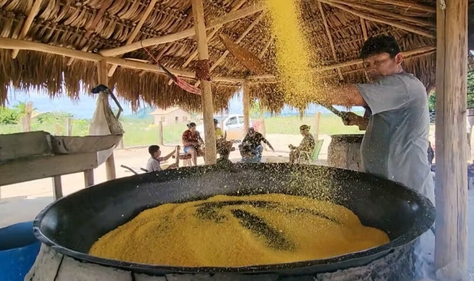 Produção de farinha artesanal na comunidade Cumaru, Terra Indígena Manoá Pium, na região Serra da Lua, em Bonfim, em Roraima.