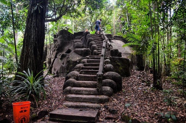 Bosque Rodrigues Alves.