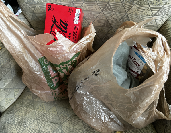Como Vermont quase zerou uso de sacolas plásticas e ganhou apoio da população.