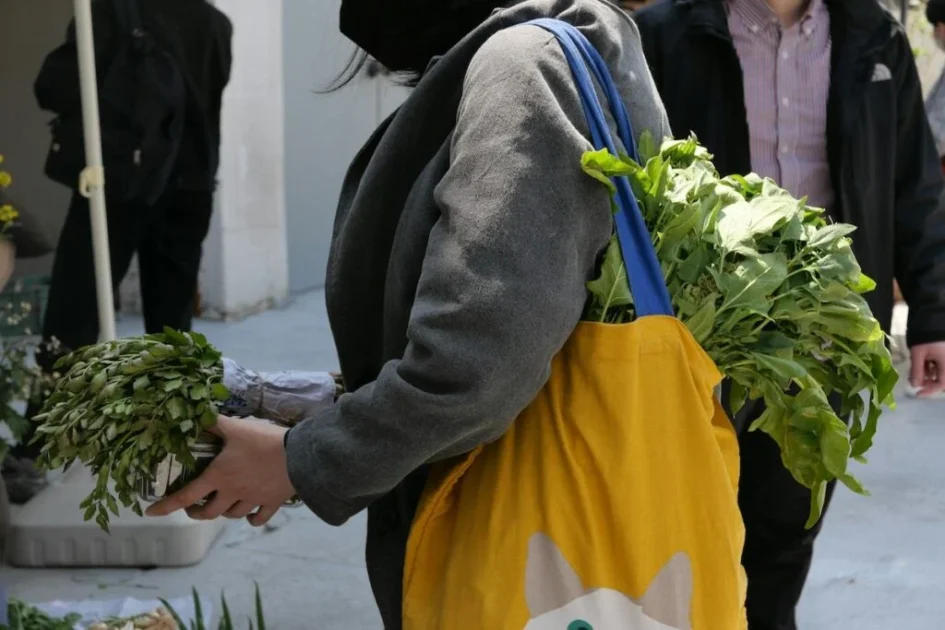 Parte dos moradores já faziam uso de sacolas reutilizáveis ​​antes da proibição e continuaram a fazê-lo. 