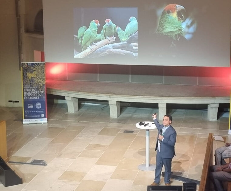 Luís Fábio Silveira (MZ-USP): 80% dos animais endêmicos e ameaçados da região, como o papagaio-chauá, foram protegidos por meio de programa apoiado pela FAPESP.