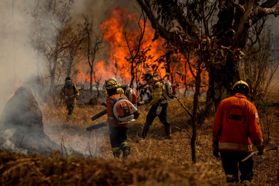 Bombeiros combatendo queimadas no Brasil em área de vegetação do Cerrado durante a estação seca.