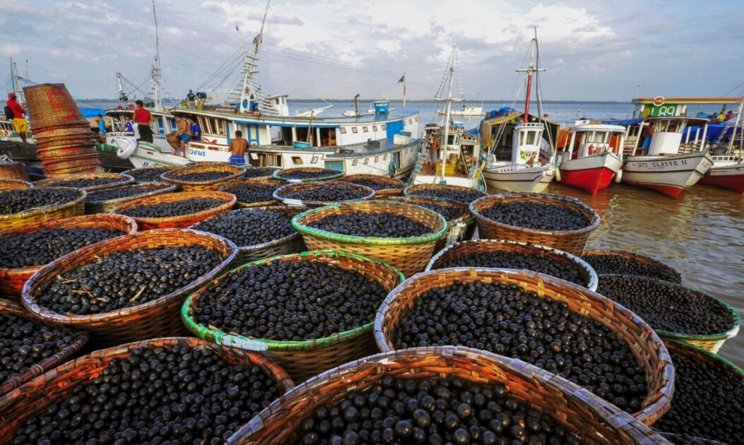 Imagem de cestos de açaí em um porto no Amazonas, um dos produtos mais importantes para a bioeconomia amazônica. Foto: Adobe Stock. 