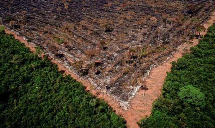 Foto de área de desmatamento na Amazônia. Desmatamento cresceu 4% na Amazônia apesar de redução do número em outros biomas. Foto: Brasil de Fato.