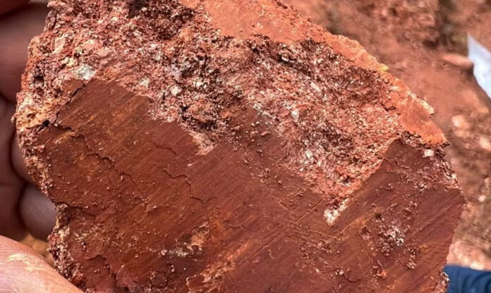 Imagem de amostra de argila com terras raras retirada do Sul de Minas. Foto: Anova Mineração.