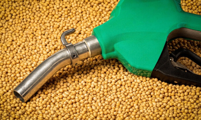 Imagem de mangueira de abastecimento sobre grãos de soja. A soja é uma das principais matérias-primas para produção de biocombustíveis no Brasil.