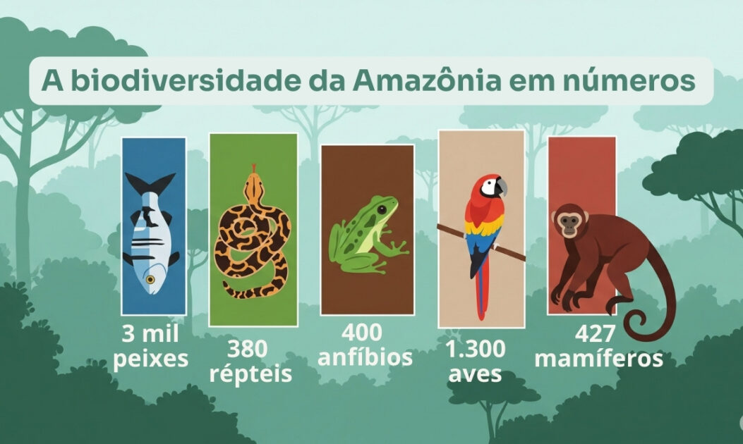 Infográfico com dados sobre a biodiversidade da Amazônia.