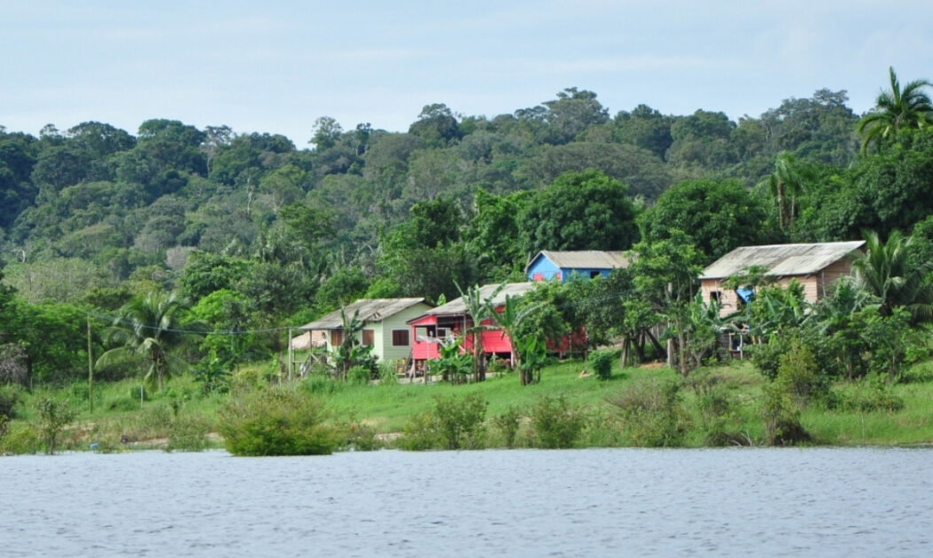 Vista da RDS do Uatumã no Amazonas, onde o projeto Floresta Viva do Idesam promove restauração florestal e sistemas agroflorestais comunitários.