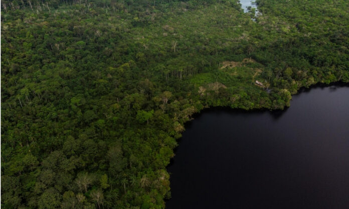 Vista aérea da floresta amazônica no Amazonas, destacando áreas preservadas e restauradas pelo projeto Floresta Viva do Idesam.