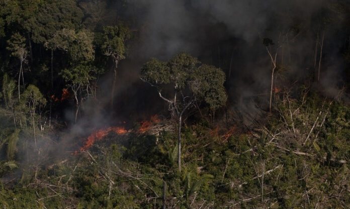 Vista aérea de grande área queimada no Brasil, com solo escurecido e fumaça após incêndios florestais.