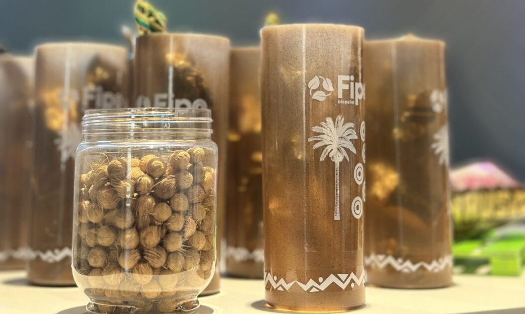 Copos biodegradáveis produzidos com fibras de frutos amazônicos em laboratório de Manaus.