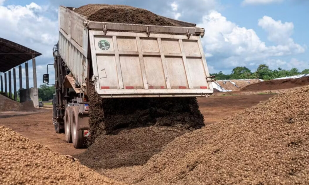 Caminhão despeja caroços de açaí durante o processo de coleta do resíduo no Pará.