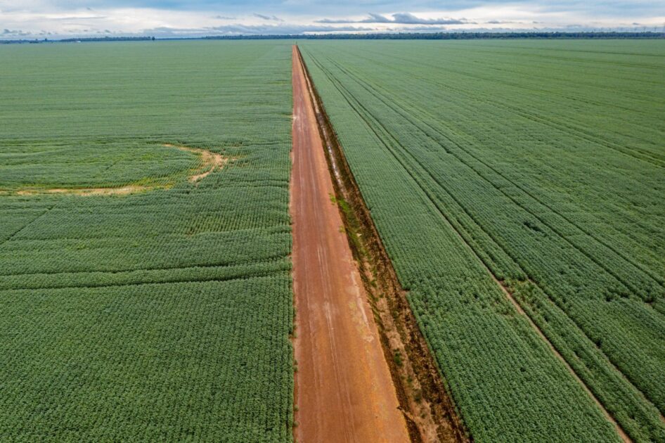 AGRO AMAZONICO