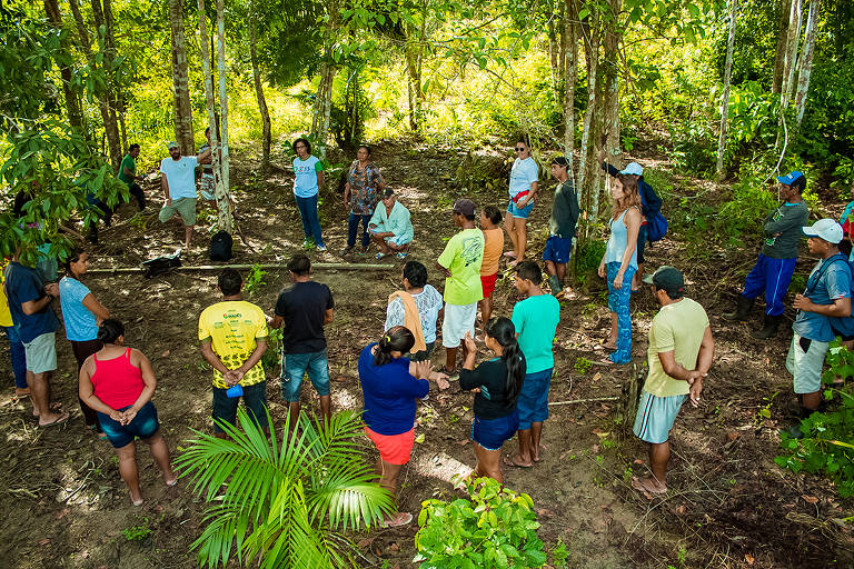 Iniciativa de formação Idesam.