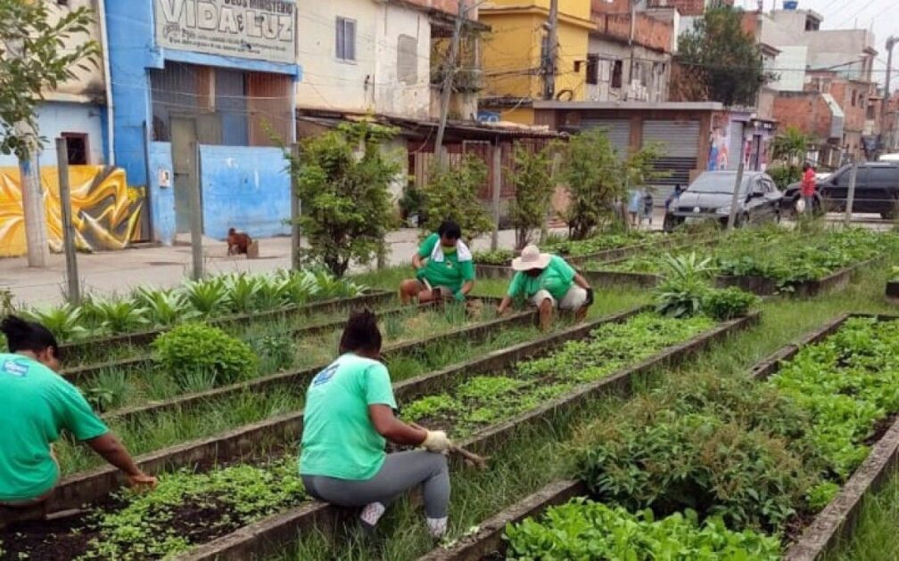 Moradores cuidam e colhem alimentos em horta urbana, prática ligada ao forrageamento urbano e à segurança alimentar nas cidades.