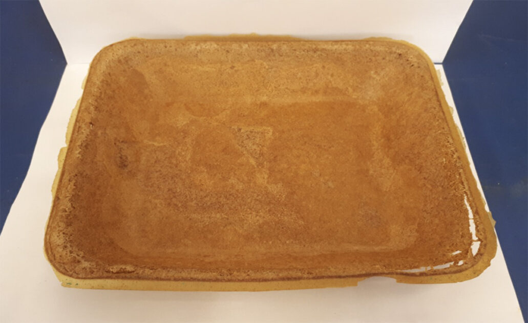 Protótipos de bandejas feitas de amido e cúrcuma, alternativa biodegradável ao isopor desenvolvida por pesquisadores da USP.