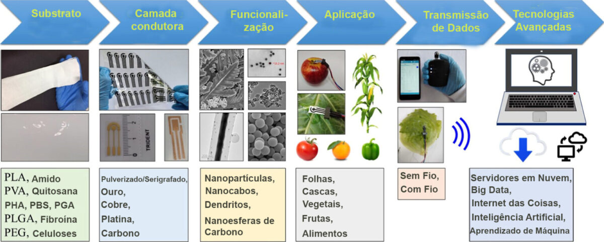 Diagrama apresenta as etapas de funcionamento dos sensores biodegradáveis para agricultura, do monitoramento ao envio de dados em nuvem.