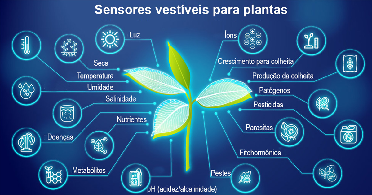 Gráfico científico mostra fatores monitorados pelos sensores biodegradáveis para agricultura, como nutrientes, pH, doenças e pragas.