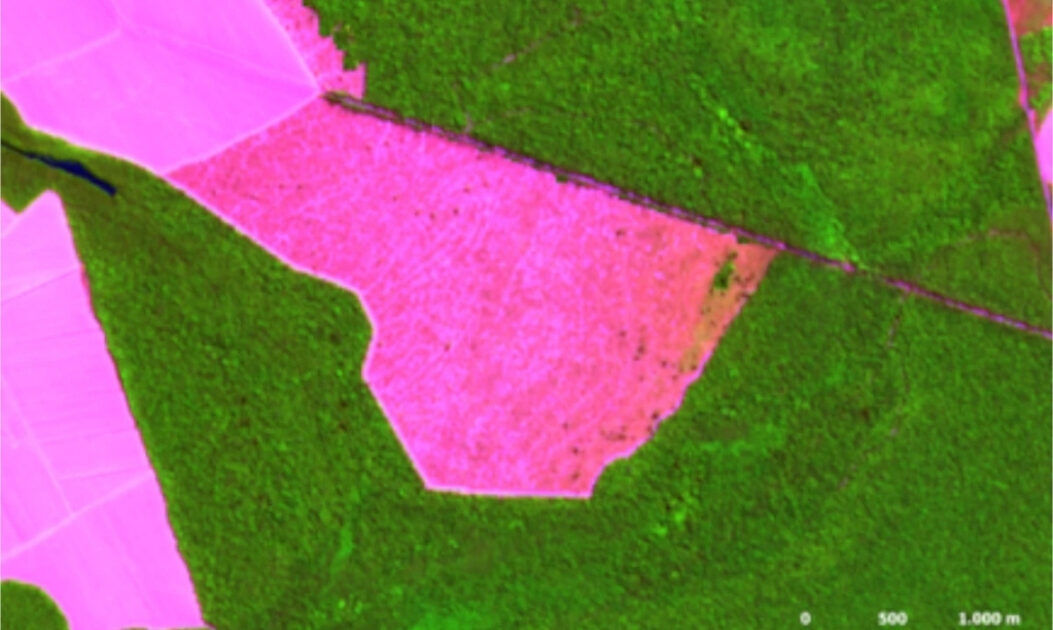 Levantamento do Imazon mostra taxas de desmatamento na Amazônia. 