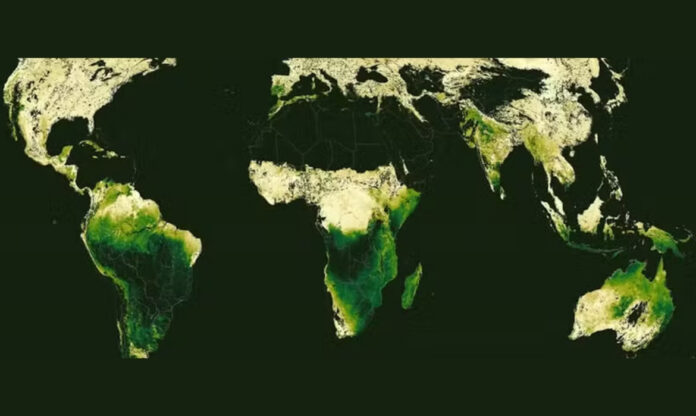 Mapa global mostra os ciclos médios de crescimento sazonal dos ecossistemas terrestres, a partir de 20 anos de imagens de satélite.