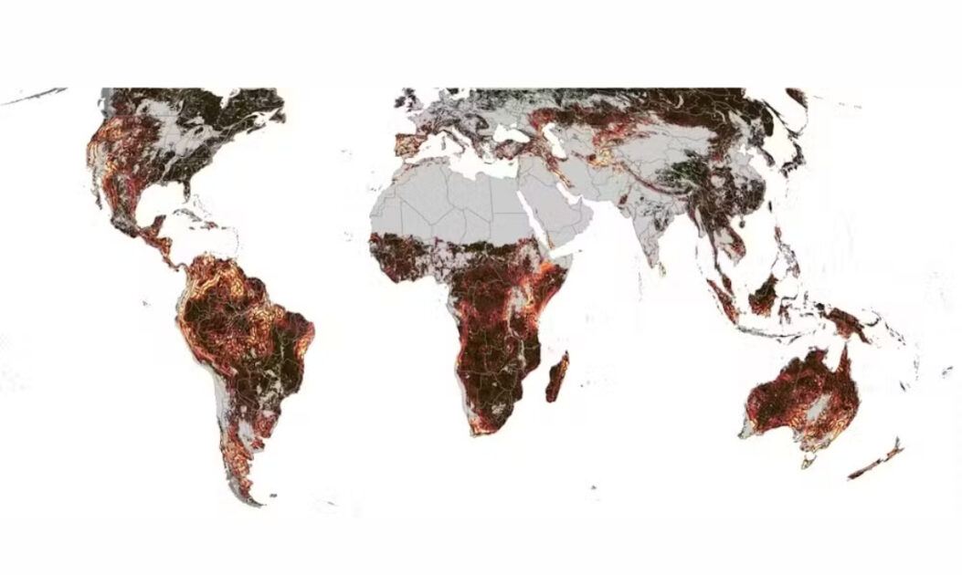 Regiões em cores claras indicam hotspots de assincronia sazonal, onde a atividade vegetal varia intensamente em pequenas distâncias.