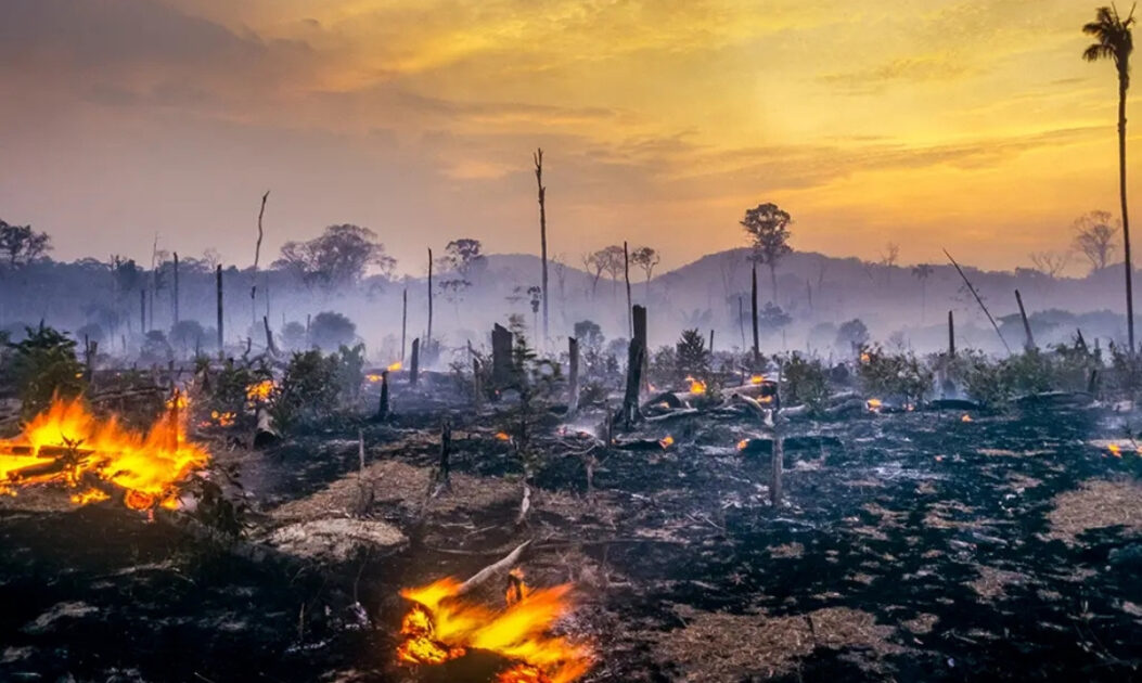 Imagem de área devastada por corte raso e queimadas, ilustrando o aumento do desmatamento na Amazônia e da degradação florestal em 2025.