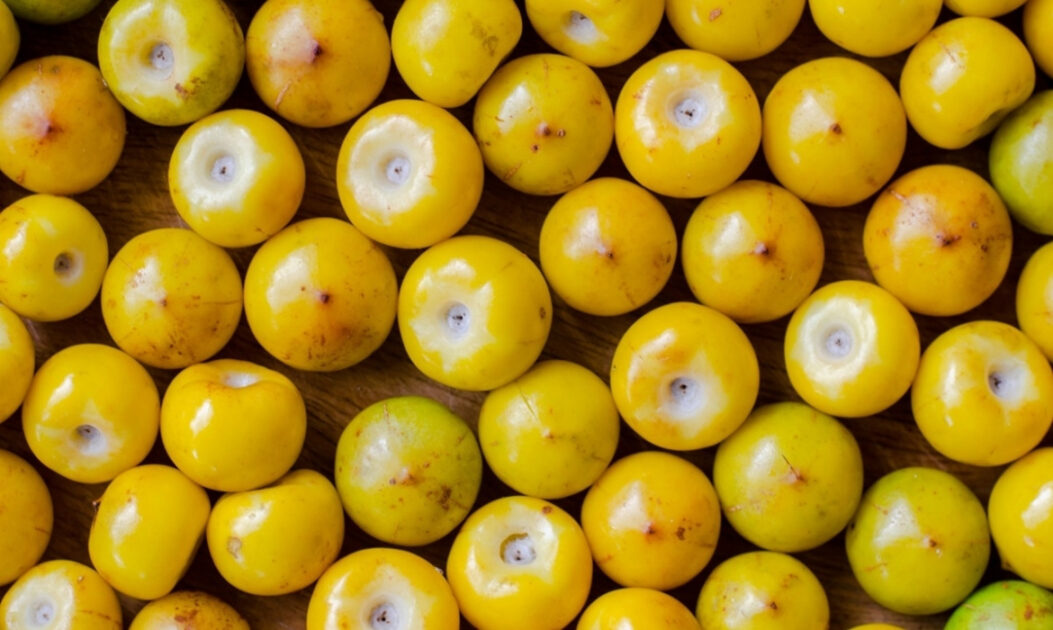 Murici (Byrsonima crassifolia)