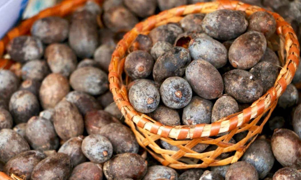 Uxi-amarelo (Endopleura uchi)