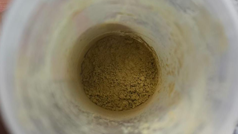Pó de morina testado no tratamento da periodontite por pesquisadores da Unesp