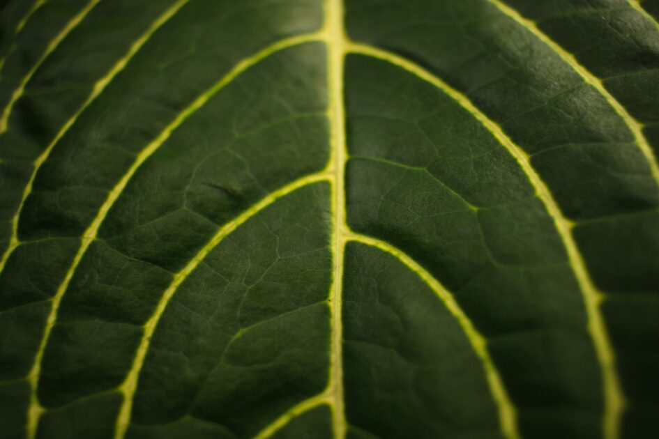 agatha valenca a x3MOv2xrs unsplash 2
