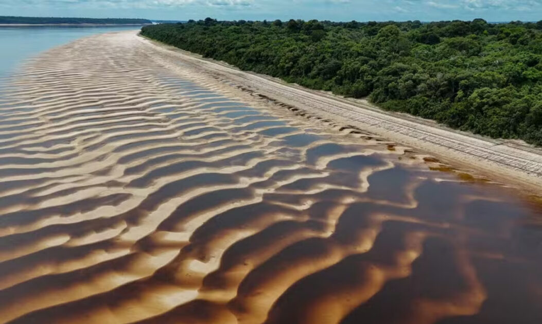 amazoniaseca