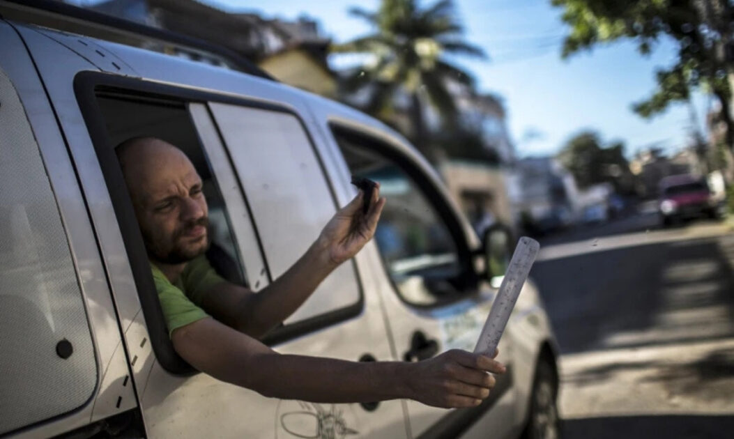 Trabalhador libera mosquitos da dengue com Wolbachia de dentro de um veículo em área urbana.