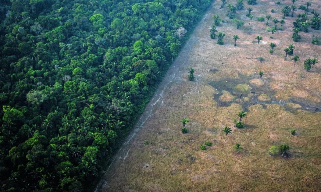 pastoincendioamazonia