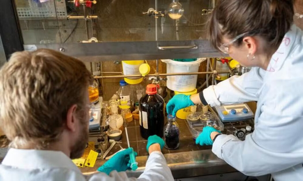 Pesquisador em laboratório manuseando amostras.