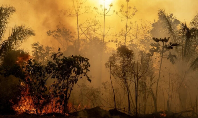 Foto aérea de incêndios florestais na Amazônia, mostrando grandes áreas de floresta em chamas e fumaça densa.