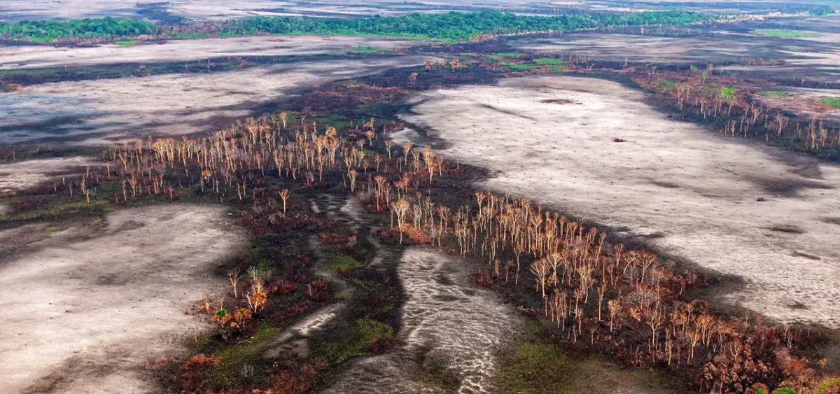 20200710150736 6d119cbcf5185d8b4522bce42debe0b9f45f68b46b18167154ed4376e04ccaac