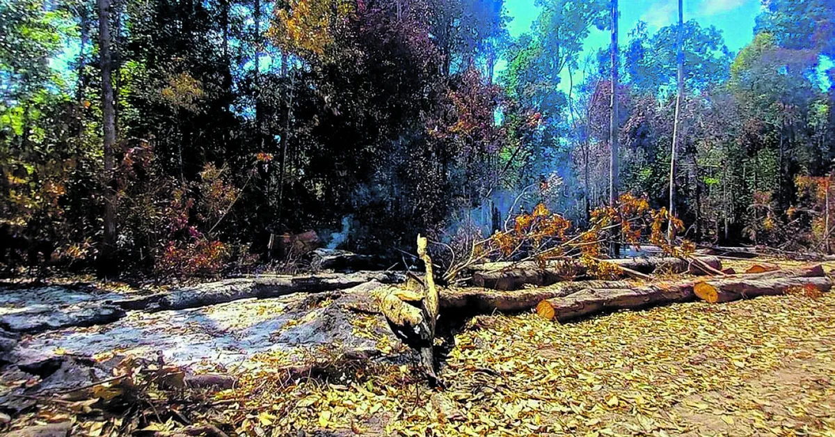 ponto de nao retorno