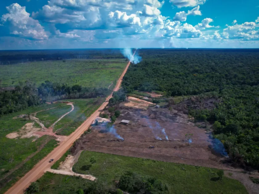 Desmatamento em trecho do estrada Foto Orlando K. Jr. FAS 1536x1024 1 1200x900.jpg