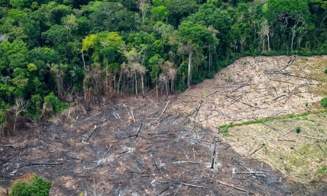 Vista aérea de desmatamento na Amazônia com áreas abertas e fragmentos de floresta.