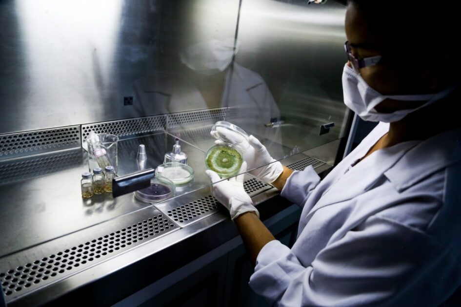 PROFESSORA MARIA DE FaTIMA FOTOS eRICO XAVIER 66 1024x683 1