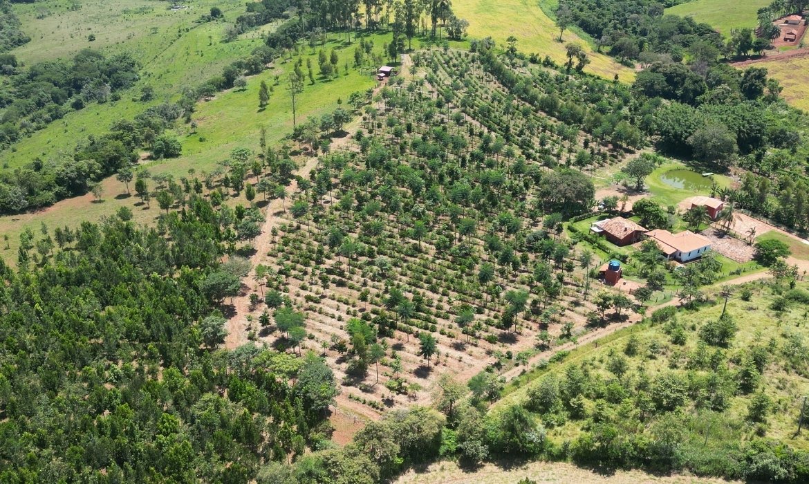 Sistema agroflorestal, vista aérea. 