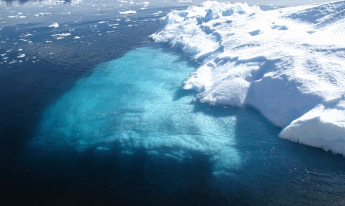retração do gelo no Oceano Ártico revela ambiente propício à vida sob o gelo no Ártico.