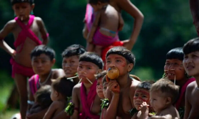 Grupo de crianças Yanomami reunidas em comunidade da floresta, observando atentamente algo fora da cena.