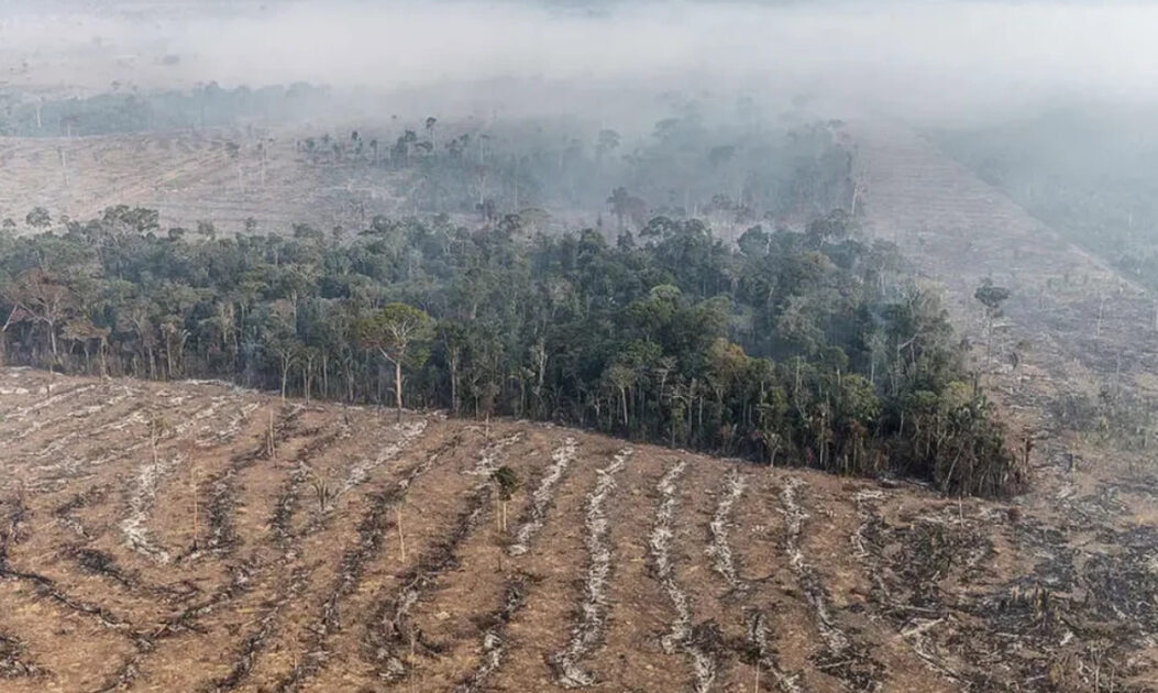 Imagem aérea de floresta amazônica fragmentada pelo desmatamento, ameaçando a captura de carbono na Amazônia.